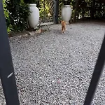 Debora Maison * Sirmione