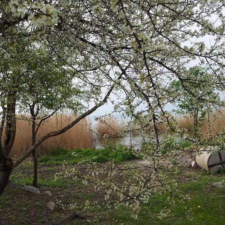 Debora Maison Sirmione