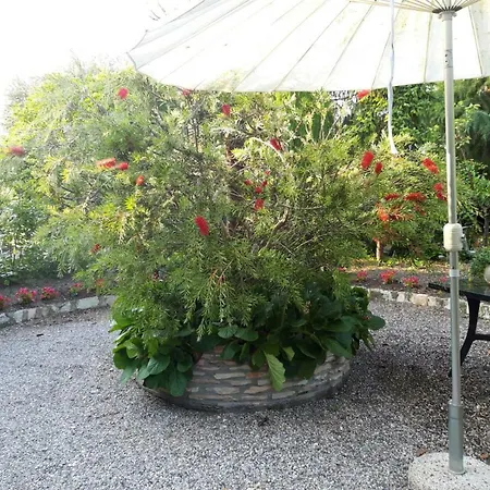 Debora Maison סירמיונה